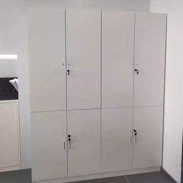 新款办公室文件柜木质资料柜档案柜办公书柜带锁柜子储物柜收纳柜