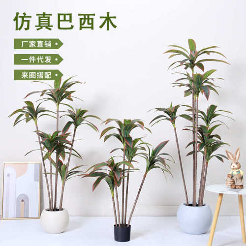 仿真绿植仿真巴西木假植物盆栽室内客厅落地装饰摆件仿生植物造景