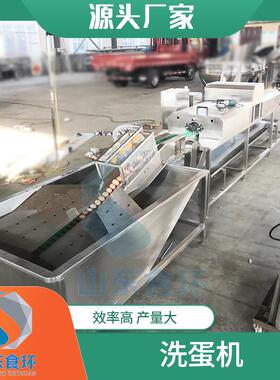 全自动洗蛋机喷油喷码保鲜鸡蛋清洗线溏心蛋清洗机厂家供应