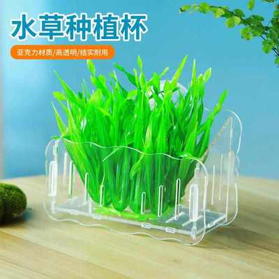 鱼缸水草杯盆悬挂草缸造景盆亚克力大号定植杯吸盘挂钩种植器透气