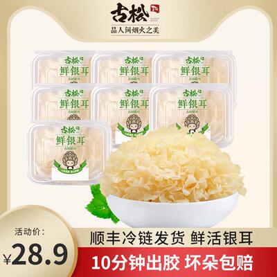 莲子羹古松福建特产古田新鲜银耳非干货雪耳丑耳 白木银耳莲子羹