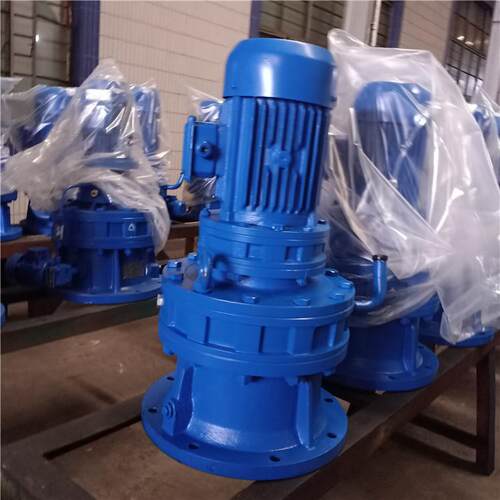 BLEY2715-289-1.5KW立式摆线针轮减速机 双级减速器 可定货