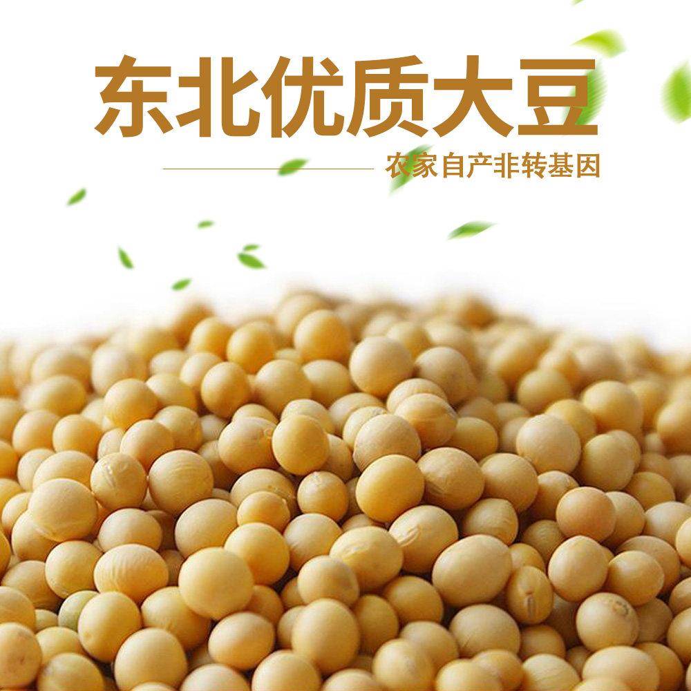 东北非转基因黄豆5斤小粒新货黑龙江大豆芽豆浆农家自产