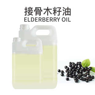 接骨木籽油 欢迎采购 冷榨植物油基础油基底油原料 天源厂家批发