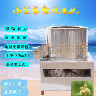 全自动鹌鹑鸽子脱毛机刚出壳小鸡小鸭不锈钢脱毛机毛蛋去壳机器