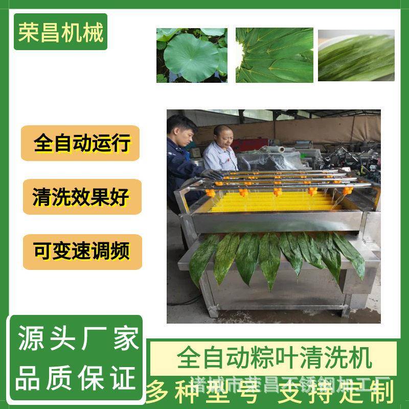 全自动粽叶清洗机苇叶菠萝叶荷叶双面毛辊刷洗设备叶片清洗机
