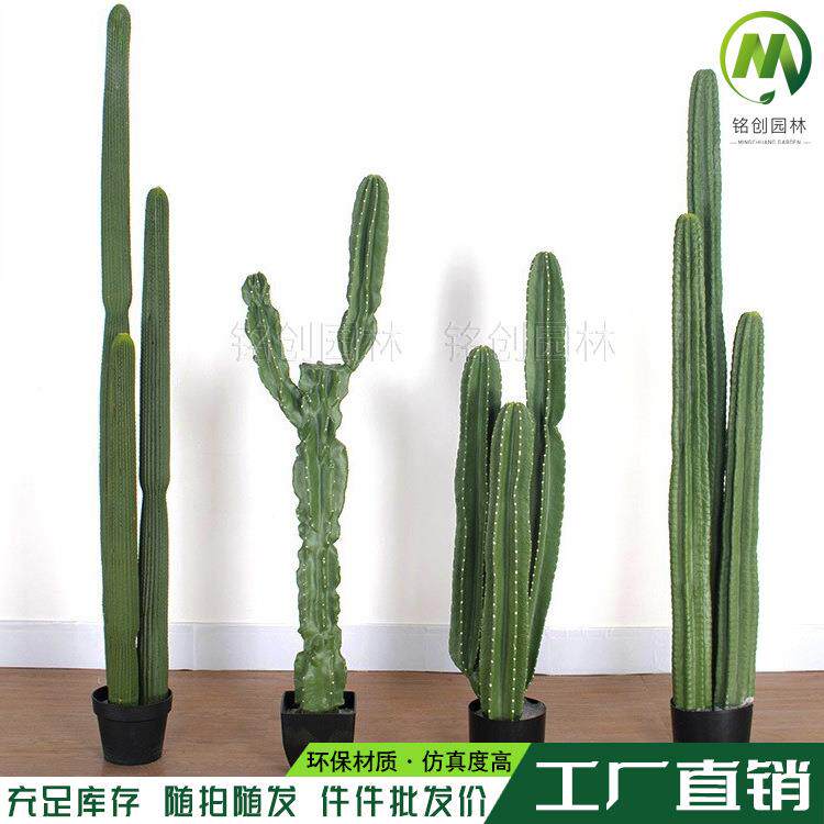 热带植物造景PU杆仙人柱盆栽 大型仿真仙人掌 沙漠植物装饰量天尺