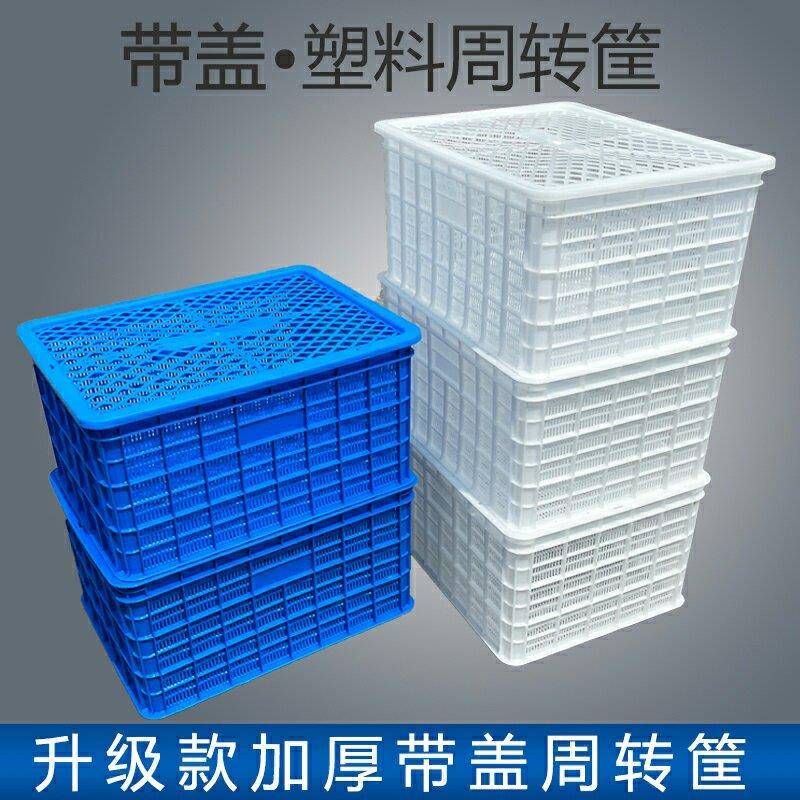 加厚塑料周转筐带盖子龙虾框长方形镂空食品周转框虾苗养殖筐熟胶