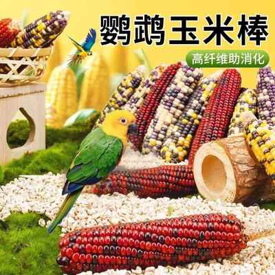 高档高营养仓鼠粮食鹦鹉磨牙神器玩具玉米棒零食 鸟瓜子啃咬解闷
