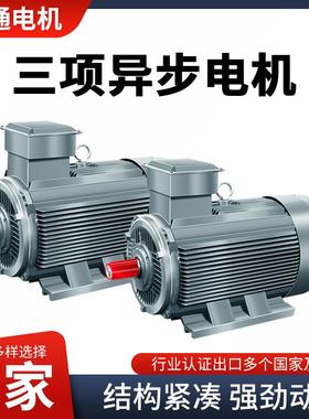 380VYE131-1630L-218.5KW25PH机械马达三相电动机P全铜