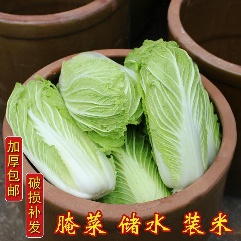 罐水jTeyICq4缸式庭院招财水刚水缸大家用陶土陶水缸储老水缸1