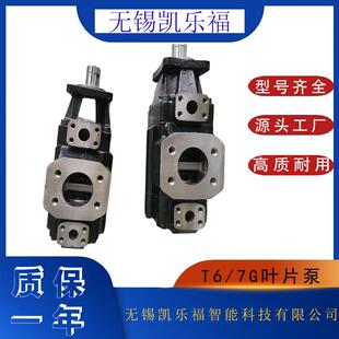 T6GCC B17 B14压塑机油泵 B25 铲运车油泵T6GCC