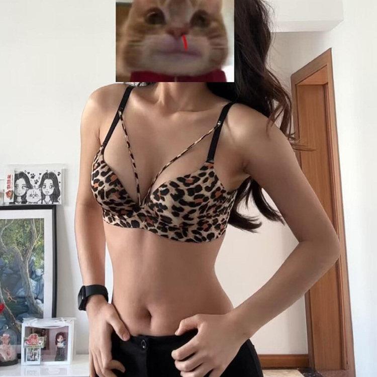 性感豹纹内衣套装女聚拢小胸显大无痕情调高级感防下垂收副乳文胸