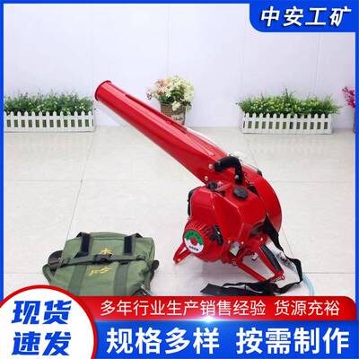 厂家现货 手提式风力灭火机 6MF-32 6MF-58背负式二冲程四冲程吹