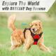 Pull Reflective Vest Dog Easy with Harness