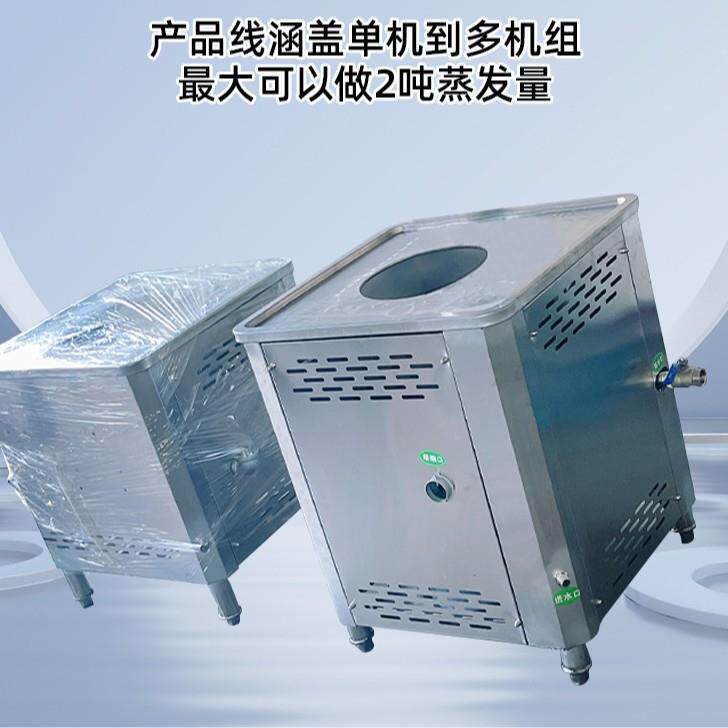 蒸汽发生器道路养护电加热食品蒸煮工业节能生物质燃油燃气锅炉