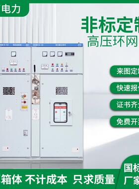 10KV高压成套配电箱开关柜HGN15-12中置柜进线出线柜隔离环网柜