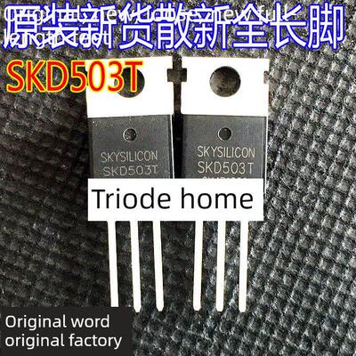充分测试Skd503 Skd503T 120A100V控制器大功率场效应管至220