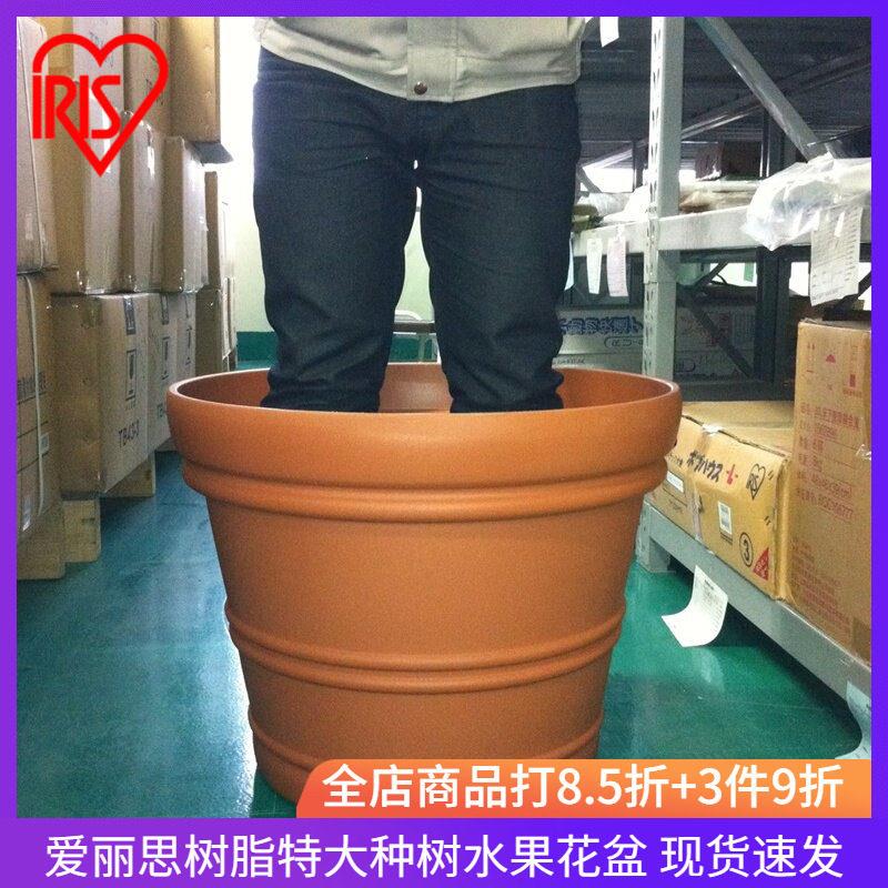 爱丽丝庭院种树超大花盆塑料特大号爱丽思果树盆大号口径特价清仓