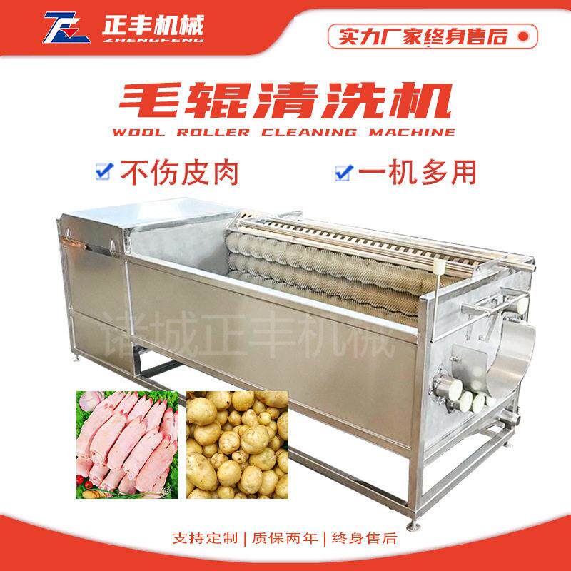 定制红薯土豆去皮清洗机全自动毛辊洗姜机多功能根茎类材清洗机