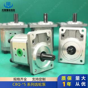 G525 CBQ G532液压油泵CBQ G540 F563 齿轮泵CBQ F550 G520