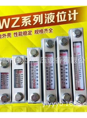 液位计油位计水位计YWZ-80T100T125T127T150T200T 250T 300T 400T