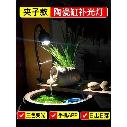 变焦鱼缸灯古法养鱼陶瓷原生溪流缸补光灯水族观赏照明led水草灯