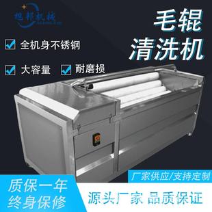 地栗毛辊清洗机 地瓜洗泥去皮机 菱角葫芦瓜多功能去皮清洗设备