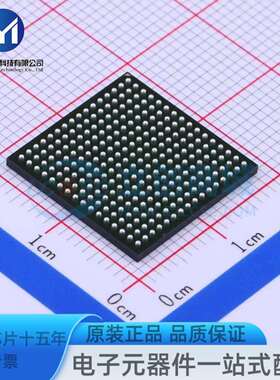 EP4CE22F17C8N FBGA-256 可编程逻辑器件(CPLD/FPGA)