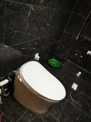 haier /海尔h3智能全自动坐便器怎么样？被坑前车之鉴感受揭秘