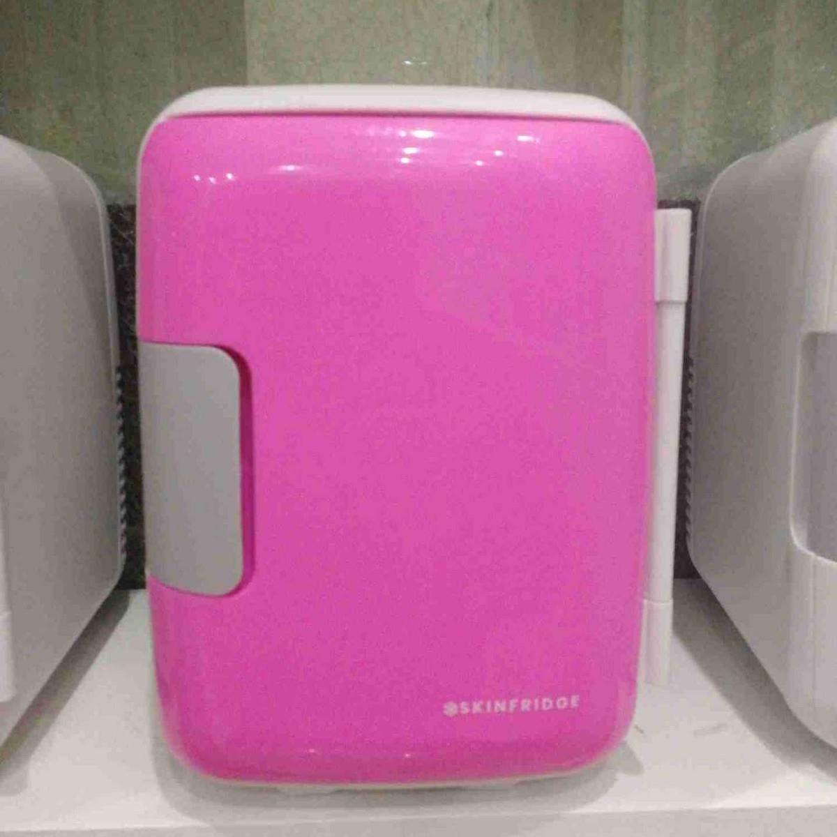 车载冰箱4L车家2用迷你冷热箱便携式多功能小冰箱静音冷暖两用