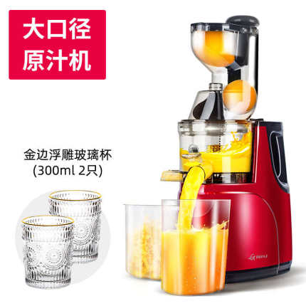 全自动打水功能渣商用榨汁机果汁小型炸机果分离家用原汁汁机多机