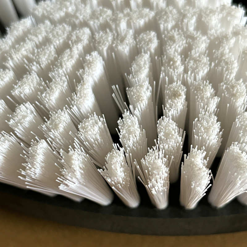 力奇SP17-150地毯机地毯刷盘软毛刷 威霸VF15171单擦机泡槽刷刷盘