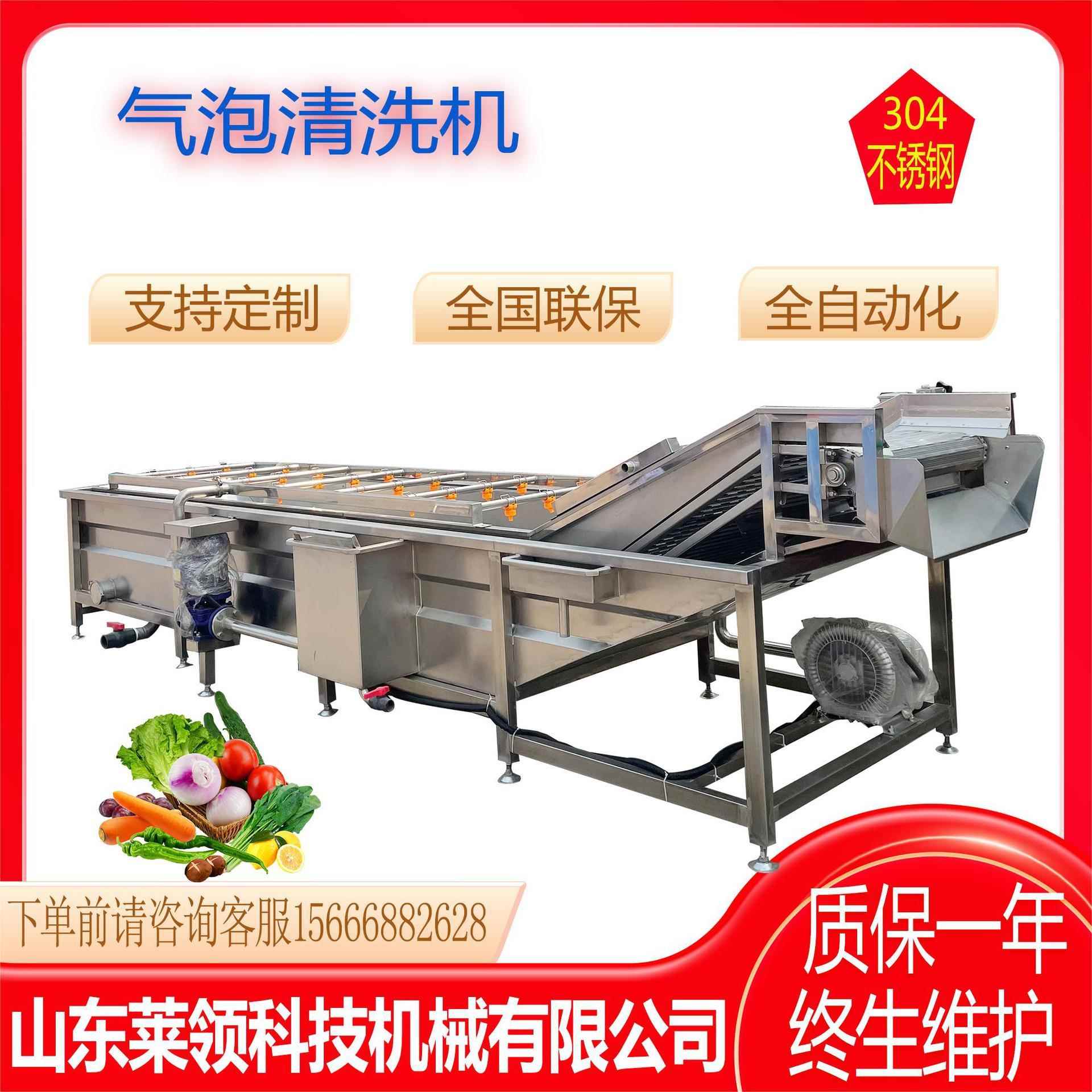 全自动果蔬海蛎子清洗机大型水浴式洗菜设备商用气泡喷淋清洗机