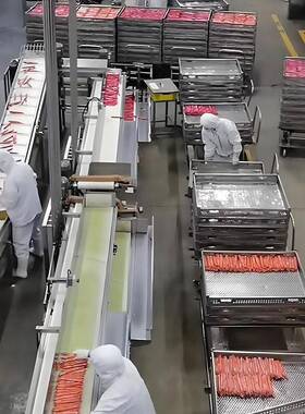 红肠腊肠生产流水线全自动香肠灌肠机火腿肠灌肠打卡一体机