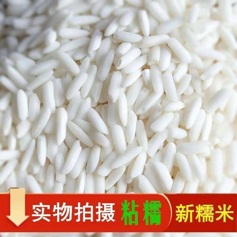 东北长粒糯米新货250克 江米 包粽子米饭团米 酿酒米白糯米多规格