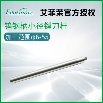 台湾Evermore艾菲茉SC08-M5-115 SC10-M6-115钨钢柄小径镗刀杆