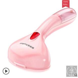 Handheld Garment Steamer Portable Steam iron Brush 220V