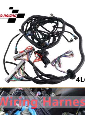 跨境热销汽车变速箱线束4L60E适用97-06 LS1 LS SWAP 4.8 5.3 6.0