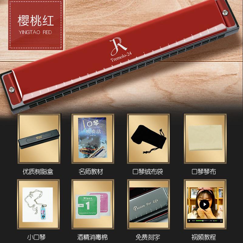 新嘉德瑞口门琴正品初学入儿学生用成人童专业演奏级24孔复音者C