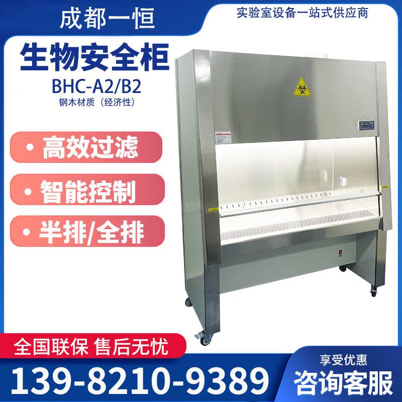 四川成都生物安全柜BHC-1000A2/B2实验室半排通风柜实验台安全柜