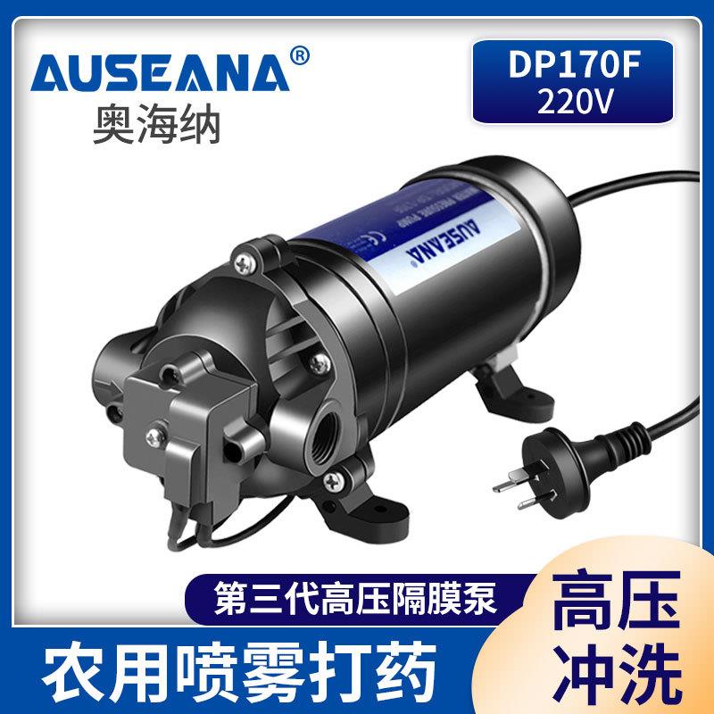 DP-170F超高压力自吸泵220v加压喷雾机器纯净水设备增压清洗水泵