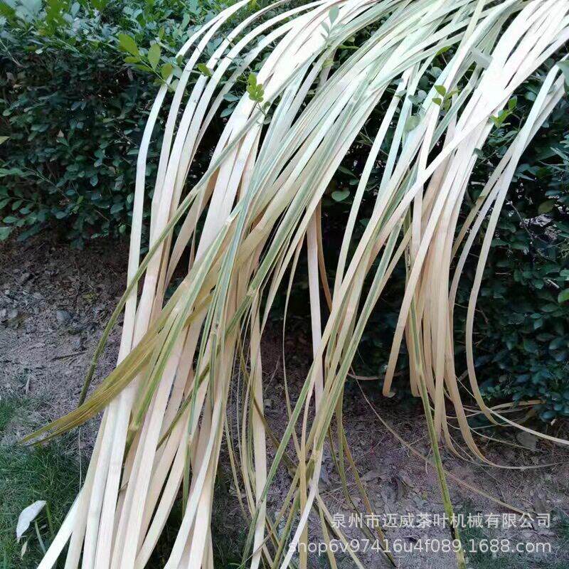 竹编竹片竹篾条软竹条竹艺花艺装置婚庆展厅装饰创意设计