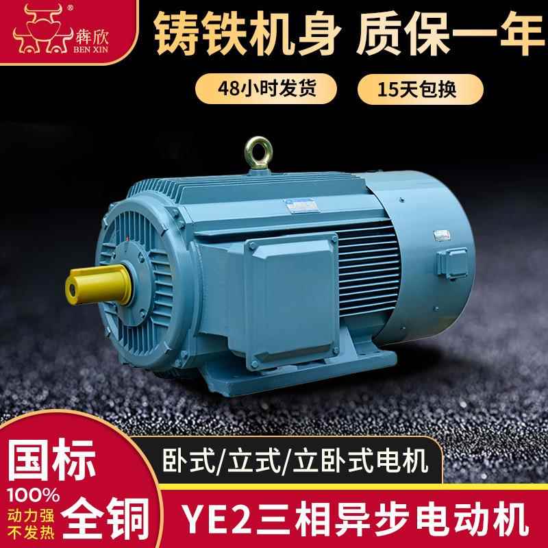 110w132w三相异步电动机160W185w立卧式YE2交流电机200w现货