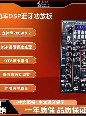 12V220VDSP蓝牙功放板立体声2声道OTG声卡直播广场拉杆音箱功放板
