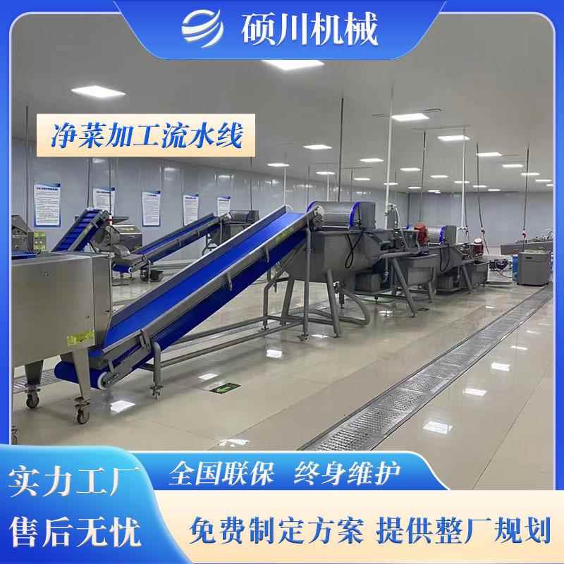 净菜加工设备全自动蔬菜除农残清洗机大型臭氧涡流洗菜机厂家