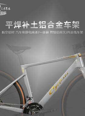 周游E300者0E30破风公速路车0速铝合金山地线拉油刹竞2自行车源头