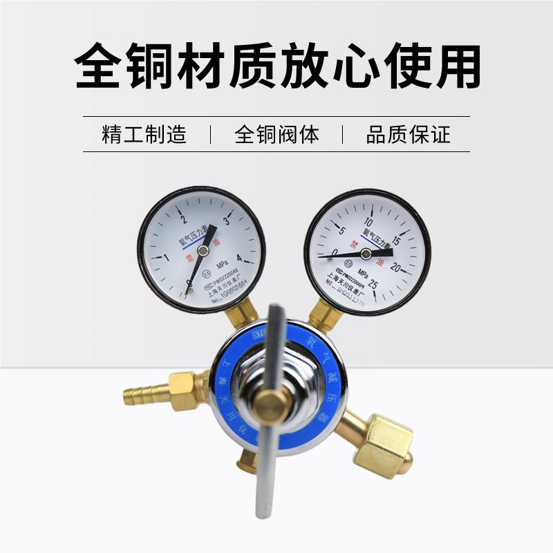 YQY-0氧气减压4*25器pam气体YQY-08减压器40L大钢瓶用8减压阀上海