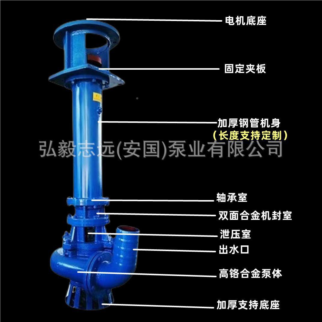 厂家货现YZ液下渣浆泵5 立式泥沙泵高铬合金渣浆泵80YZ02-0单双管