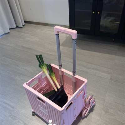 买菜小拉车家用购物取快递可折叠结实耐用便携带轮爬楼梯小推车